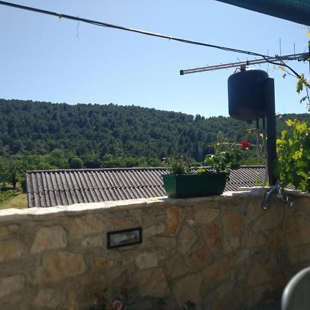 Milica App Skradinsko Polje 24 Exterior foto